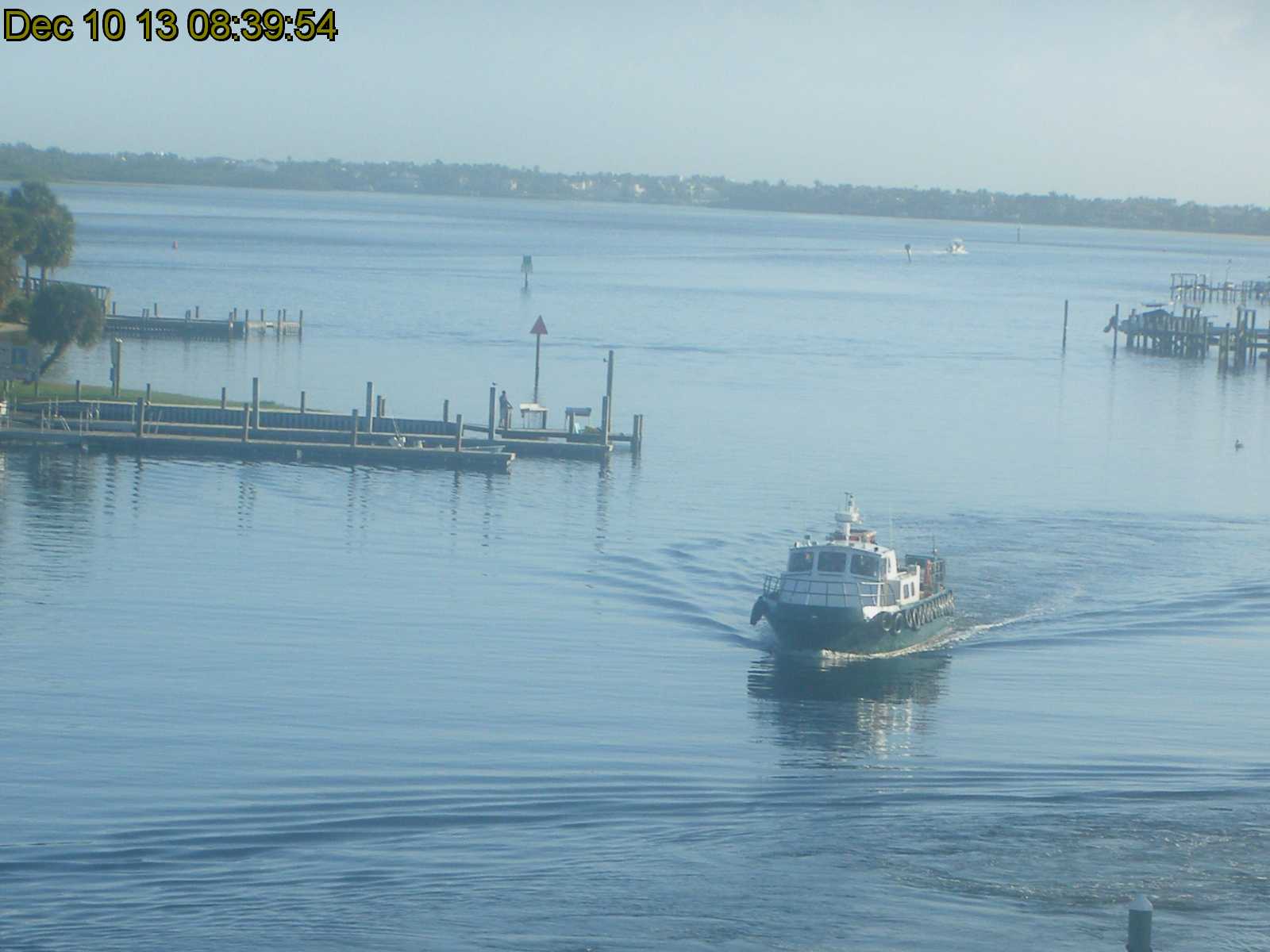 Manatee Pocket Live Web Cam